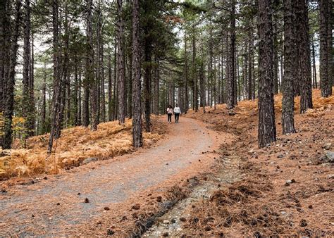 Hiking in the Troodos Mountains, Cyprus | Audley Travel UK