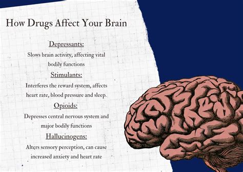 Your Brain On Drugs: How the Damage Is Done and How to Undo It ...