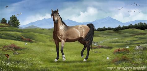 ArtStation - Wild Horse´s Valley