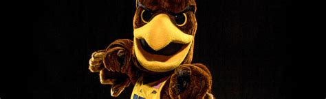 Marquette University - Golden Eagle Mascot - Olympus Mascots