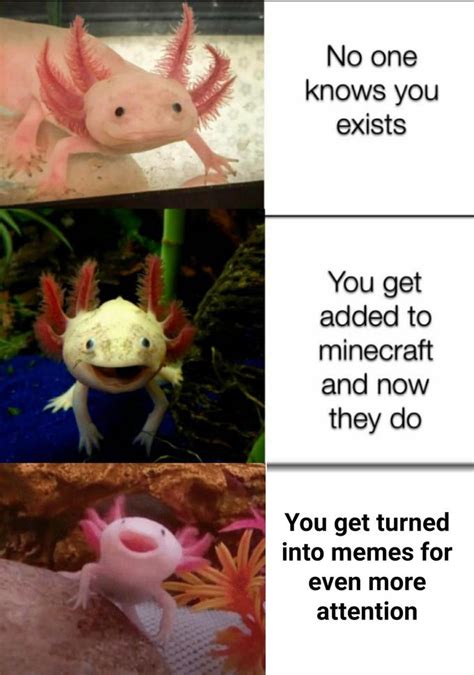 Axolotl Memes Clean