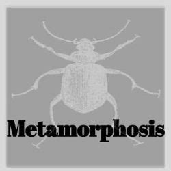 Metamorphosis (Play) Plot & Characters | StageAgent