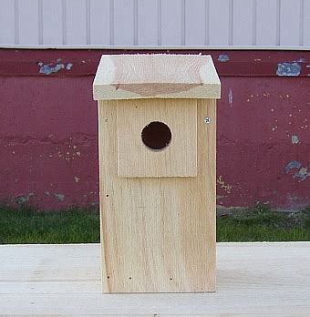 Conservation Eastern Bluebird House Kit