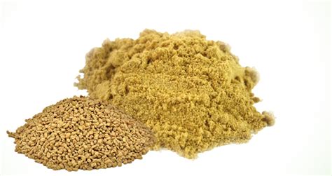 Organic Fenugreek Powder – Vitanics Bio