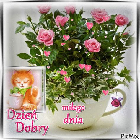 dzień dobry Happy Birthday Greetings, Good Morning, Floral Wreath, Gifts, Polish, Buen Dia ...