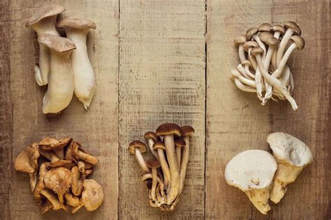 9 Edible Mushrooms That Grow On Wood (And You Can Grow At Home) - Aker