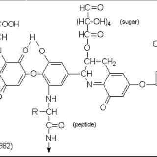 Structure of humic acid. | Download Scientific Diagram