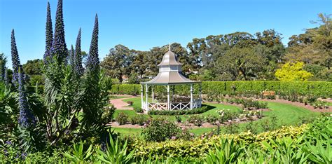 Rose Garden | Wollongong Botanic Garden