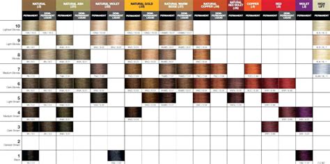 Pravana Chromasilk Color Chart | amulette