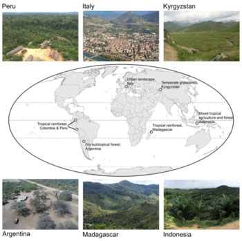 New Perspective published in Landscape Ecology journal • Modelling Human-Environmental ...