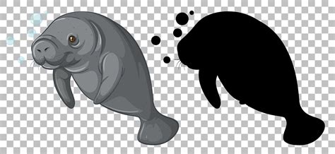 Manatee with its silhouette 1428418 Vector Art at Vecteezy