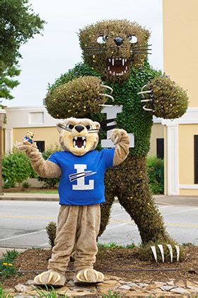 Community Invited to Lander’s Bearcat Fan Day Celebration