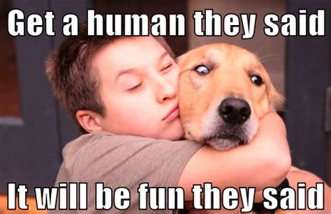 21 Funny Dog Memes
