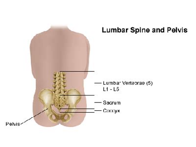 Lumbar Spine Pain