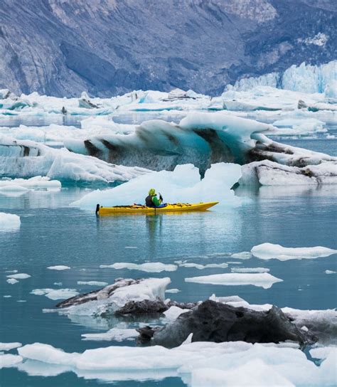 Visit Glacier Bay National Park in Southeast Alaska near Gustavus