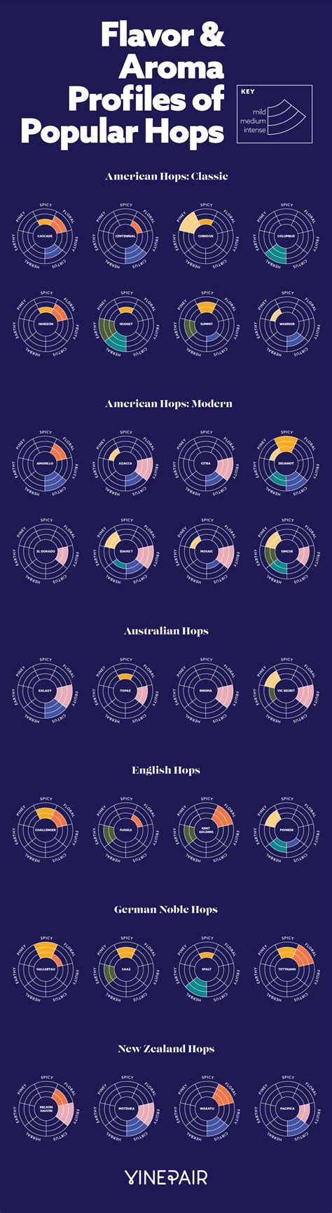 The Flavors & Aromas in Craft Beer's Popular Hops (Infographic) | VinePair