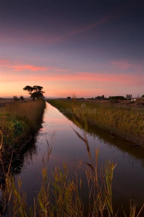 Sunset over rice field stock image. Image of landscape - 8084547