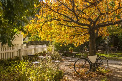 Stunning Dunedin Arrowtown Autumn Magic — Third Age Tours