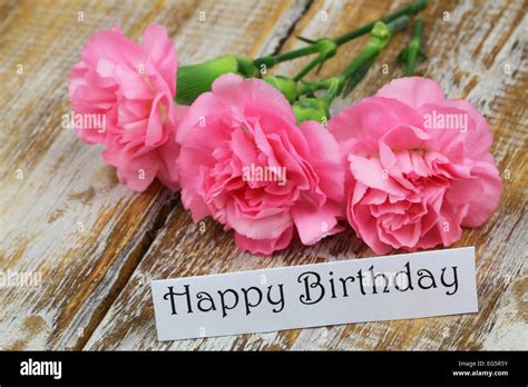 Happy Birthday card with pink carnation flowers Stock Photo - Alamy