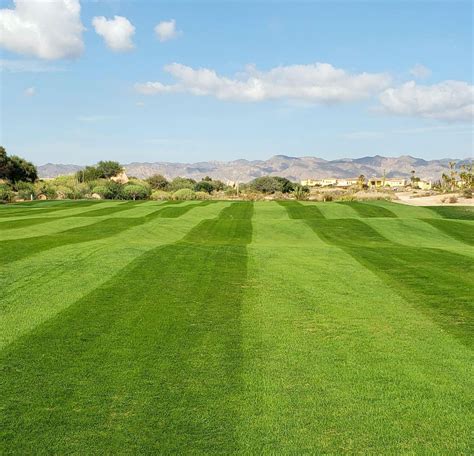 Desert Springs Golf Club – GOLF STAY AND PLAYS