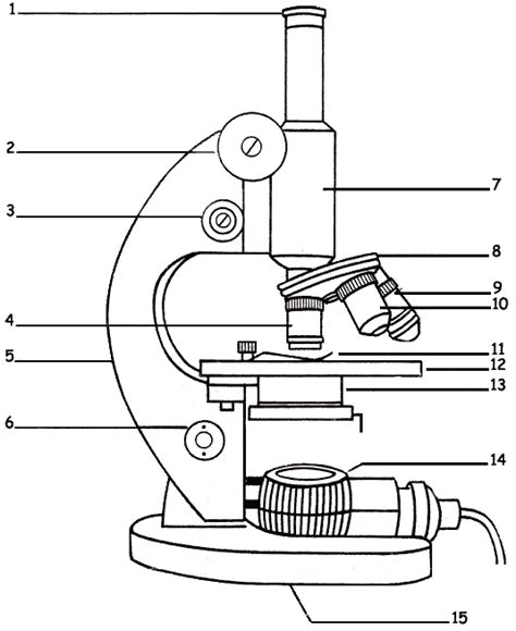 BEST Petrographic Microscope Parts And Functions Pdf