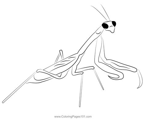 Praying Mantis Coloring Page for Kids - Free Mantises Printable ...