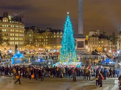 The Biggest, Brightest Christmas Trees in the World | Cool christmas trees, Trafalgar square ...