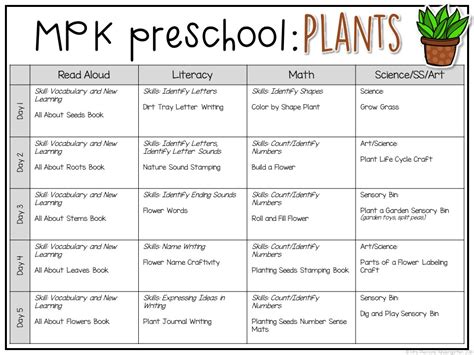 Kindergarten Science Lesson Plan