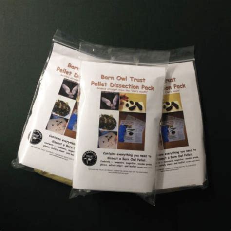 Owl pellet dissection pack - The Barn Owl Trust