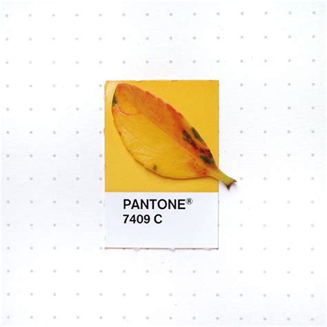 Tiny Objects Pantone | Pantone color chart, Pantone swatches, Pantone colour palettes