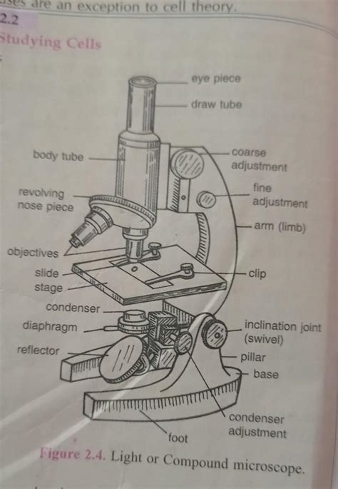 Compound Microscope Diagram