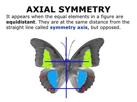 ️Axial Symmetry Worksheet Free Download| Gambr.co