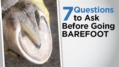 7 Questions to Ask Before Transitioning Your Horse to Barefoot