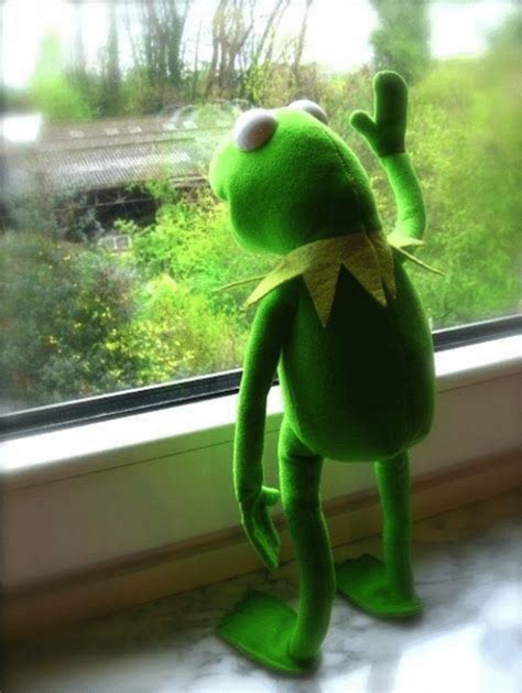 Sad Kermit Blank Template - Imgflip