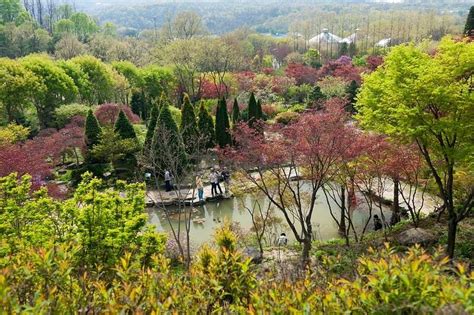 THE 15 BEST Things to Do in Yongin - 2022 (with PHOTOS)