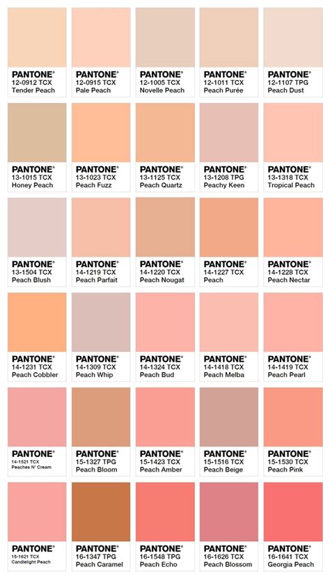 Peach Color Code / Coral Meaning, Combinations and Hex Code - Canva Colors in ... / The tetrad ...