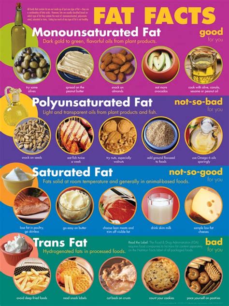 STARZ Cafeteria: Understanding Fats : Saturated Fats (Bad Fats) VS Unsaturated Fats (Good Fats)