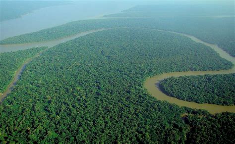 Countries Sharing The Amazon Rainforest - WorldAtlas