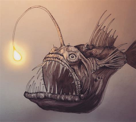 Angler Fish Illustration