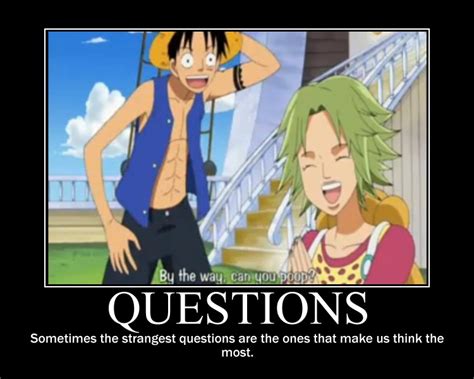 One Piece Funny Quotes. QuotesGram