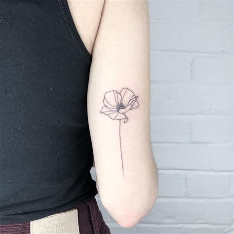 Pin de Jennifer McMahen em Tattoo | Papoulas tatuagem, Tatuagens ...