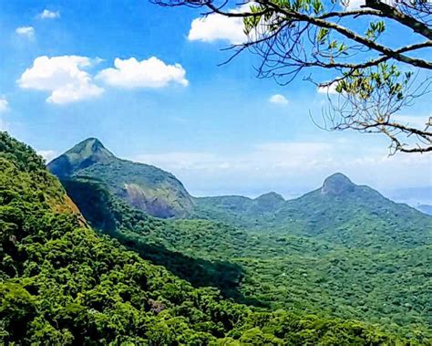 Private hike to hidden trails in Tijuca forest from Rio de Janeiro ...