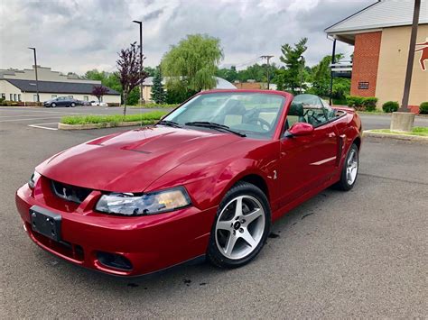 2003 Ford Mustang SVT Cobra for Sale | ClassicCars.com | CC-1237254