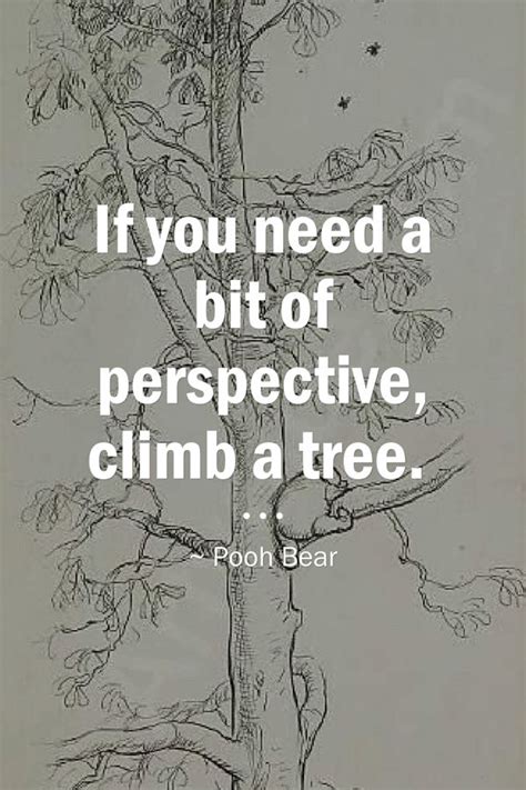 If you need a bit of perspective, climb a tree. | Perspective quotes, Climbing quotes, Funny ...