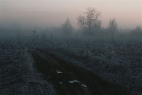 Dirt Road on Brown Grass Field with Bare Trees · Free Stock Photo