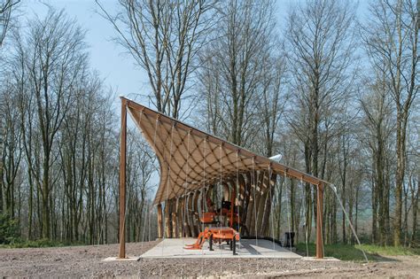 AA Design & Make students test the limits of timber in tensile woodland canopy - architecture ...