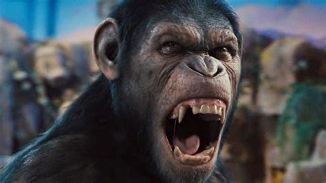 Archives Of The Apes: Rise Of The Planet Of The Apes (2011)