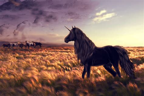 🔥 [44+] Unicorn Desktop Wallpapers | WallpaperSafari