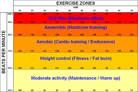 Zonas de Entrenamiento Cardiovascular - Actividad Física y Deporte - Salud y Actividad Física ...