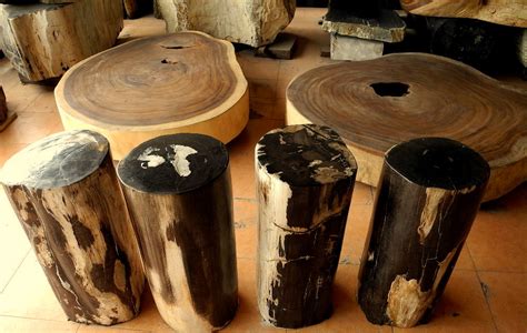 Petrified Wood Pedestals | PETRIFIED WOOD STOOLS AND WOOD FO… | Flickr